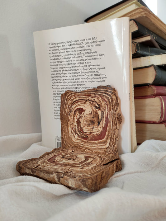 Βιβλιοστάτης